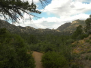 photo thumbnail #6