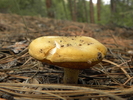 photo thumbnail #9