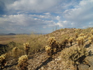 photo thumbnail #10