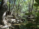 photo thumbnail #10