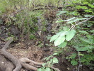 photo thumbnail #11
