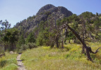 photo thumbnail #4