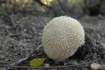 photo thumbnail #3