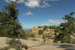 photo thumbnail #8