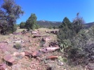photo thumbnail #14