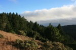 photo thumbnail #14
