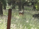 photo thumbnail #9