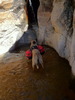 photo thumbnail #12