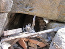 photo thumbnail #1
