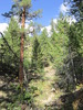 photo thumbnail #6