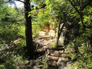 photo thumbnail #7