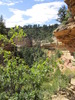 photo thumbnail #9