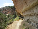 photo thumbnail #10
