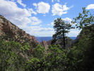 photo thumbnail #13