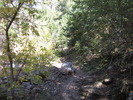 photo thumbnail #15