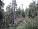 photo thumbnail #12