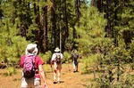 photo thumbnail #14