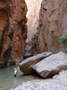 photo thumbnail #12