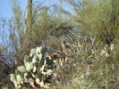photo thumbnail #3