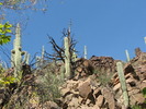 photo thumbnail #8