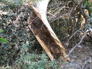 photo thumbnail #14