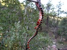 photo thumbnail #6