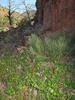 photo thumbnail #13