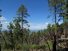 photo thumbnail #15