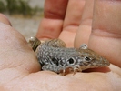 photo thumbnail #2