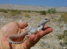 photo thumbnail #9