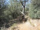 photo thumbnail #4