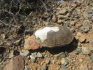 photo thumbnail #8