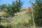 photo thumbnail #15