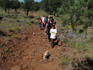 photo thumbnail #4