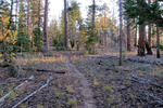photo thumbnail #1