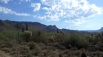 photo thumbnail #11
