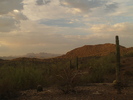 photo thumbnail #4