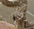 photo thumbnail #13