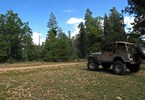 photo thumbnail #1