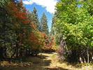 photo thumbnail #15