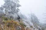 photo thumbnail #11