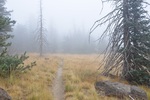photo thumbnail #12
