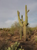 photo thumbnail #4
