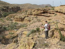 photo thumbnail #4