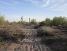 photo thumbnail #5