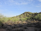 photo thumbnail #5
