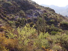 photo thumbnail #2