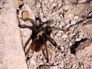 photo thumbnail #9