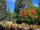 photo thumbnail #4