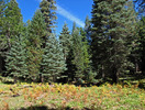 photo thumbnail #5